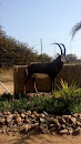 Lindeque Game Ranch Buck Monument