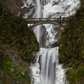 by Don Saddler - Landscapes Waterscapes