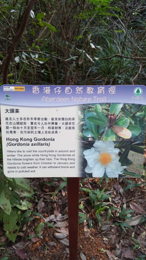 Aberdeen Nature Trail Hong Kong Gordonia