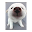 Cute Animals Live Wallpaper by apps freax Download on Windows