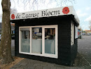 Old Dutch Flower Shop