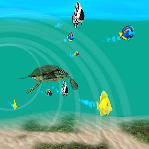 My Seaturtles HD LWP