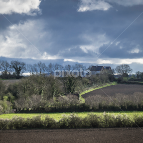 Weathering the Storm Alone by Lottie Campenella - Landscapes Prairies, Meadows & Fields