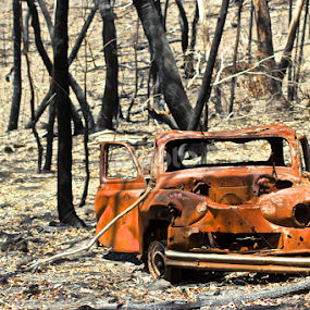 Aftermath by Nick Schroeder - Landscapes Forests