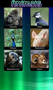 How to download Animal sounds full version 1.0.7 unlimited apk for laptop