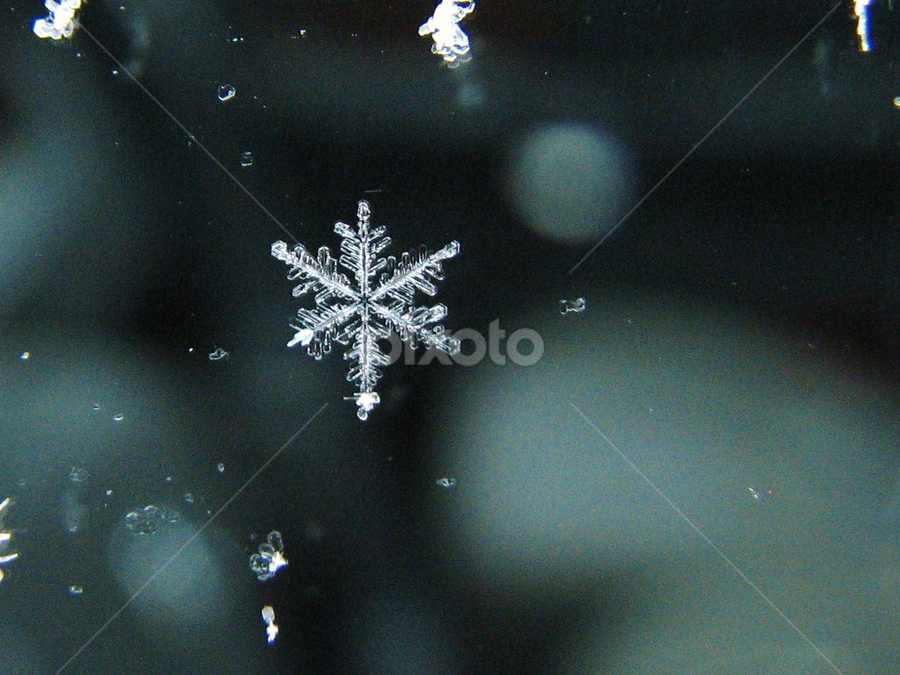 Snowflake by Bob Minnie - Abstract Macro