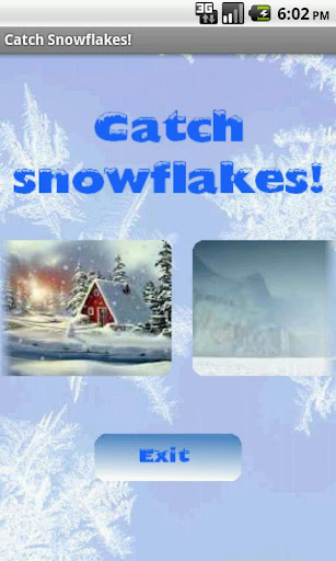 Catch Snowflakes