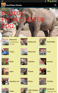 How to install Zoo Photos Chester lastet apk for android