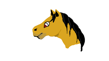 horse number 1