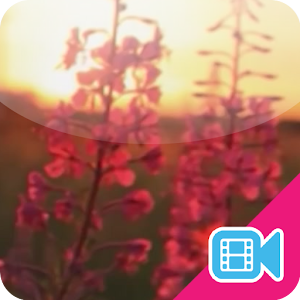 ► Sunset Flower Live WallPaper.apk 1.0.7