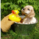 dogs puppy app