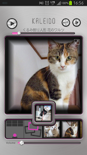 Download KALEIDOにゃんこ〜音色は愛し小さな君と〜 APK for PC
