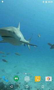 download Sharks Live Wallpaper free