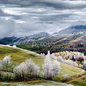 Drumul spre taramul basmelor.Foto Eduard Gutescu by Eduard Gutescu - Landscapes Mountains & Hills