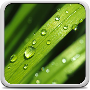 Dew Drops Live Wallpaper.apk 3.0
