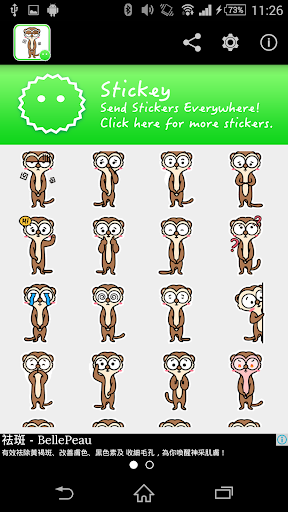 Stickey Cute Meerkat