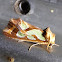 Green-blotched Moth