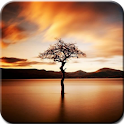 Autumn Trees Photography logo