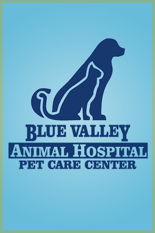 BlueValleyVet