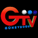 Güneydoğu TV