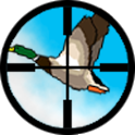Birdy Boom icon