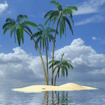 Palm In Tropical Island Live W Apk