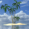 Palm In Tropical Island Live W Application icon