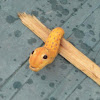 Spicebush Swallowtail Caterpillar