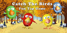 Children Game: Catch The Birds APK