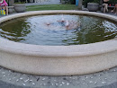 Anderson Park Fountain