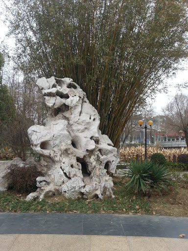 怪石与竹