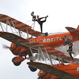 Wingwalkers by Ian Clothier -  