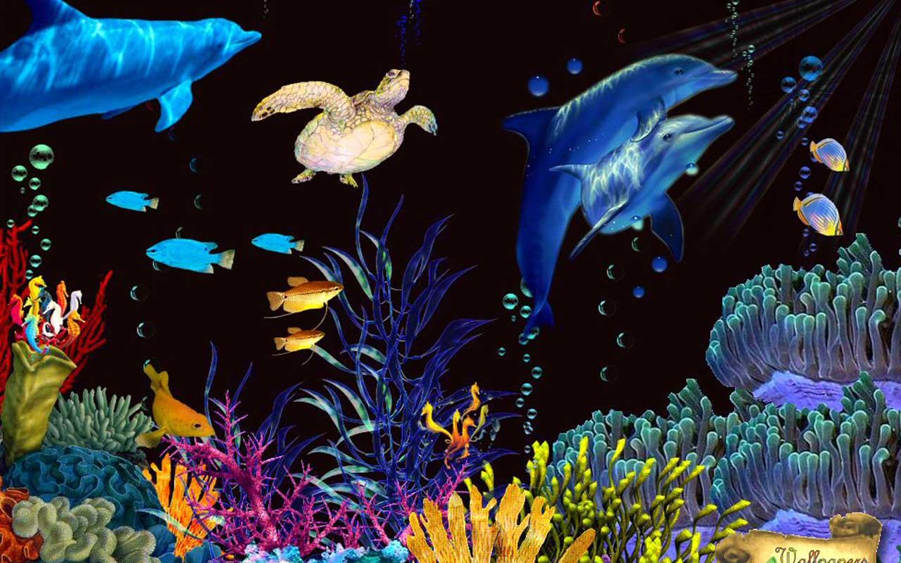 Download The 5D Aquarium Live Wallpaper Android Apps On NoneSearchcom
