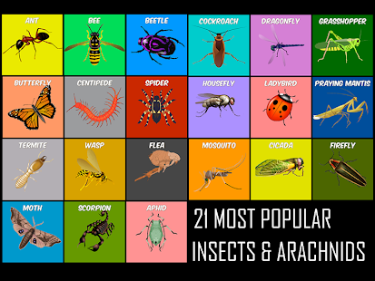 How to install Insect & Arachnid Life Cycle 1.1 unlimited apk for android