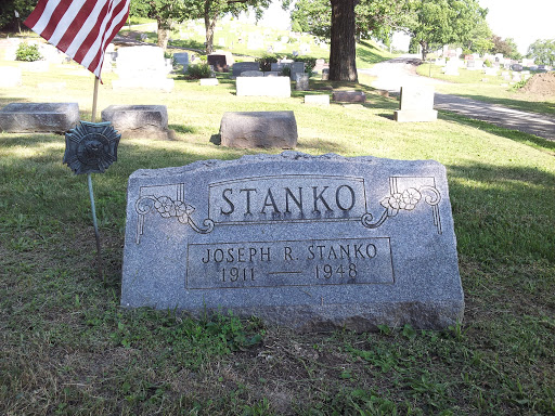 Stanko - Veteran of Foreign War