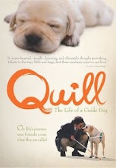 Quill: The Life of A Guide Dog