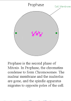 Xtreme Mitosis APK صورة لقطة الشاشة #1