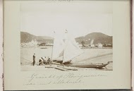 Gezicht op Königswinter en de Rijn vanaf Mehlem