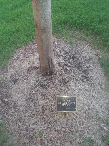 Everette Monroe Memorial