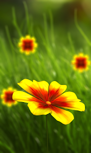360 Flower live wallpaper 3D - náhled