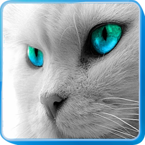 Cat Sounds.apk 1.5