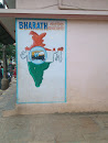 India Flag Mural