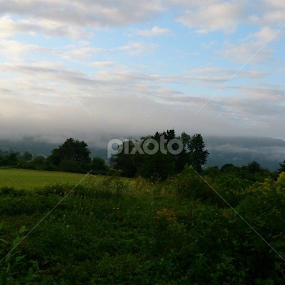 Tranquility by Aleksandra Ivanković Mazzuka  - Landscapes Prairies, Meadows & Fields