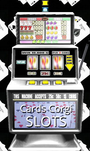 3D Cards Corgi Slots