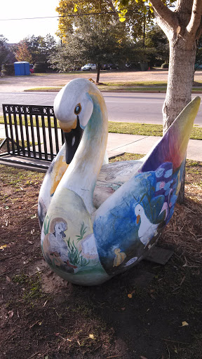 Town Square Park Swan