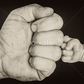 Get Meer signal For Free