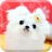 강아지노트 (애견수첩,강아지관리) mobile app icon