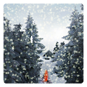 Winter Snowfall Live Wallpaper logo