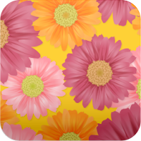 ガーベラ柄壁紙 花柄スマホ待ち受け壁紙 Ver45 Androidアプリ Applion