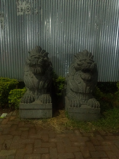 双狮